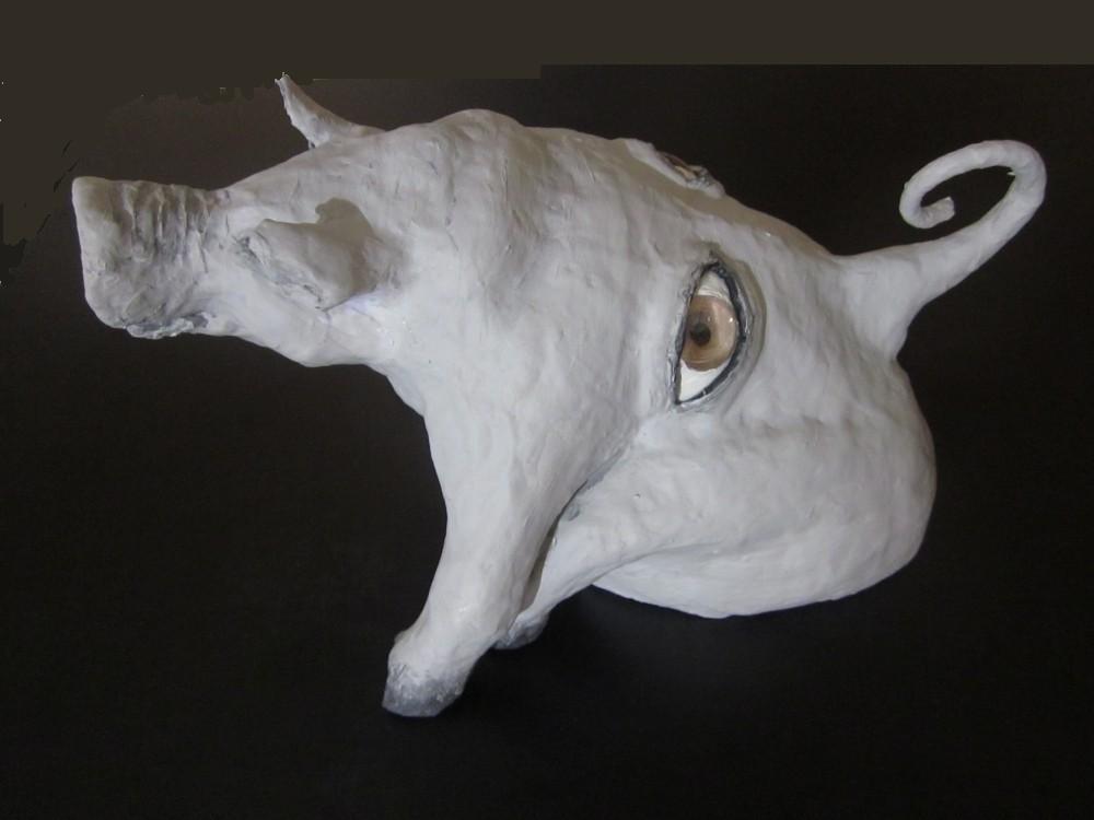  -    (www.fisionomicus.com)