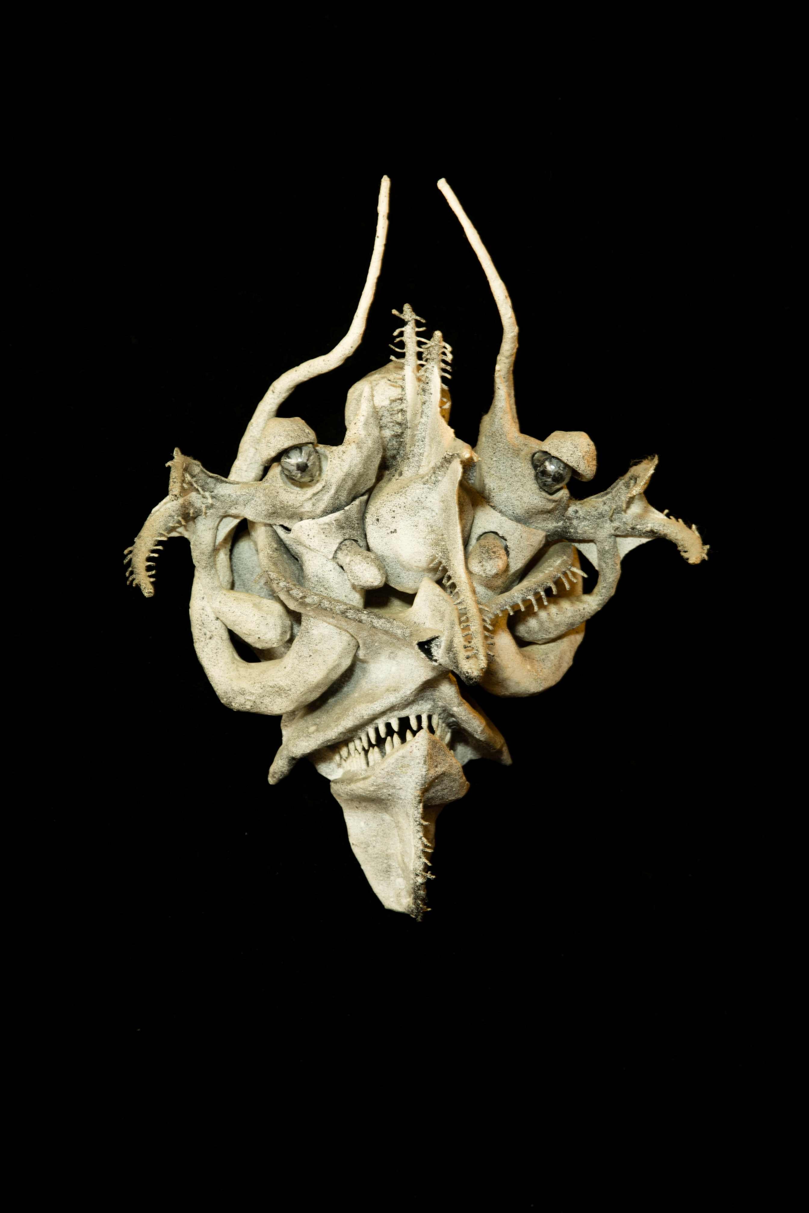   -    (www.fisionomicus.com)