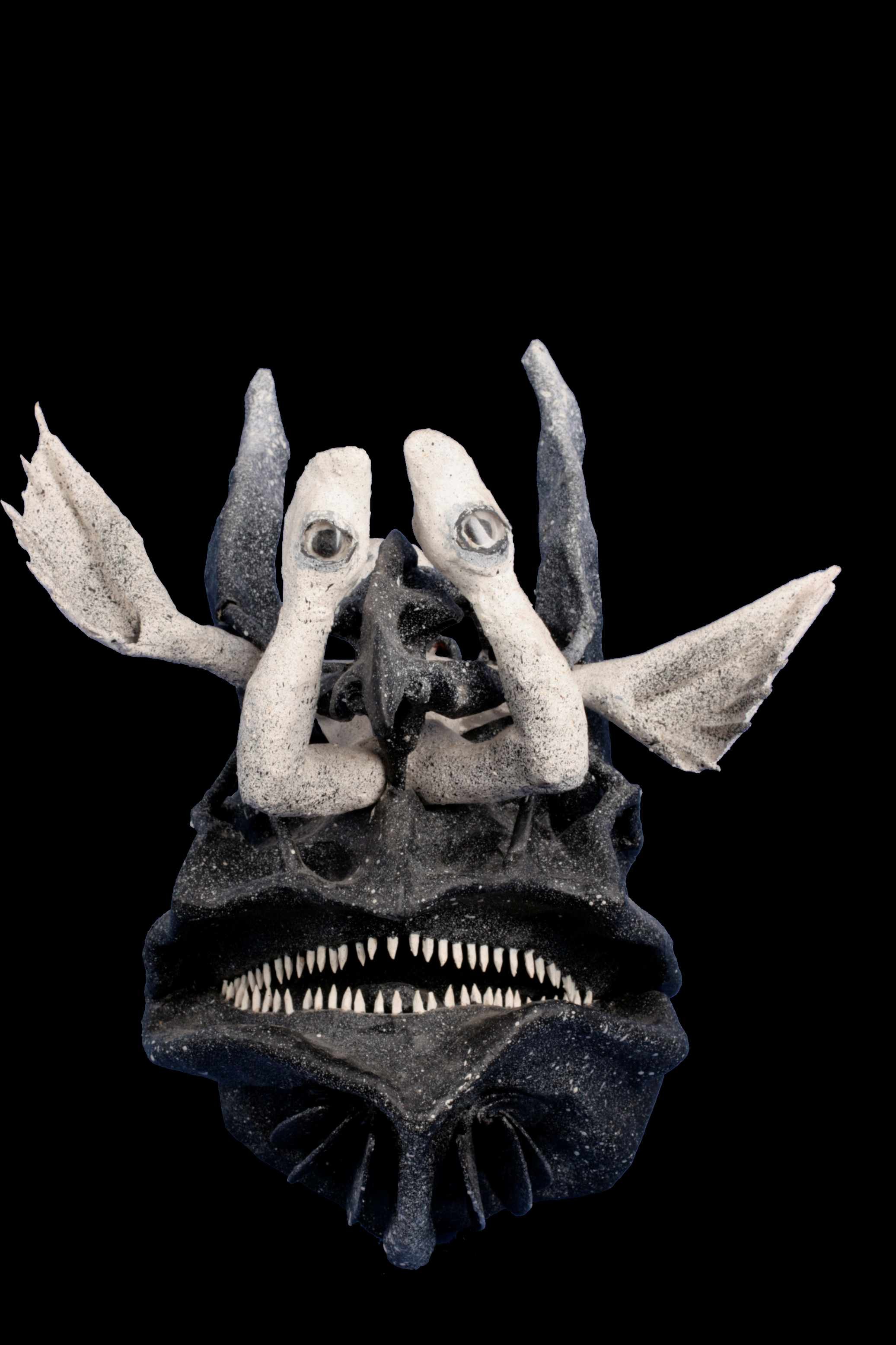 - -    (www.fisionomicus.com)