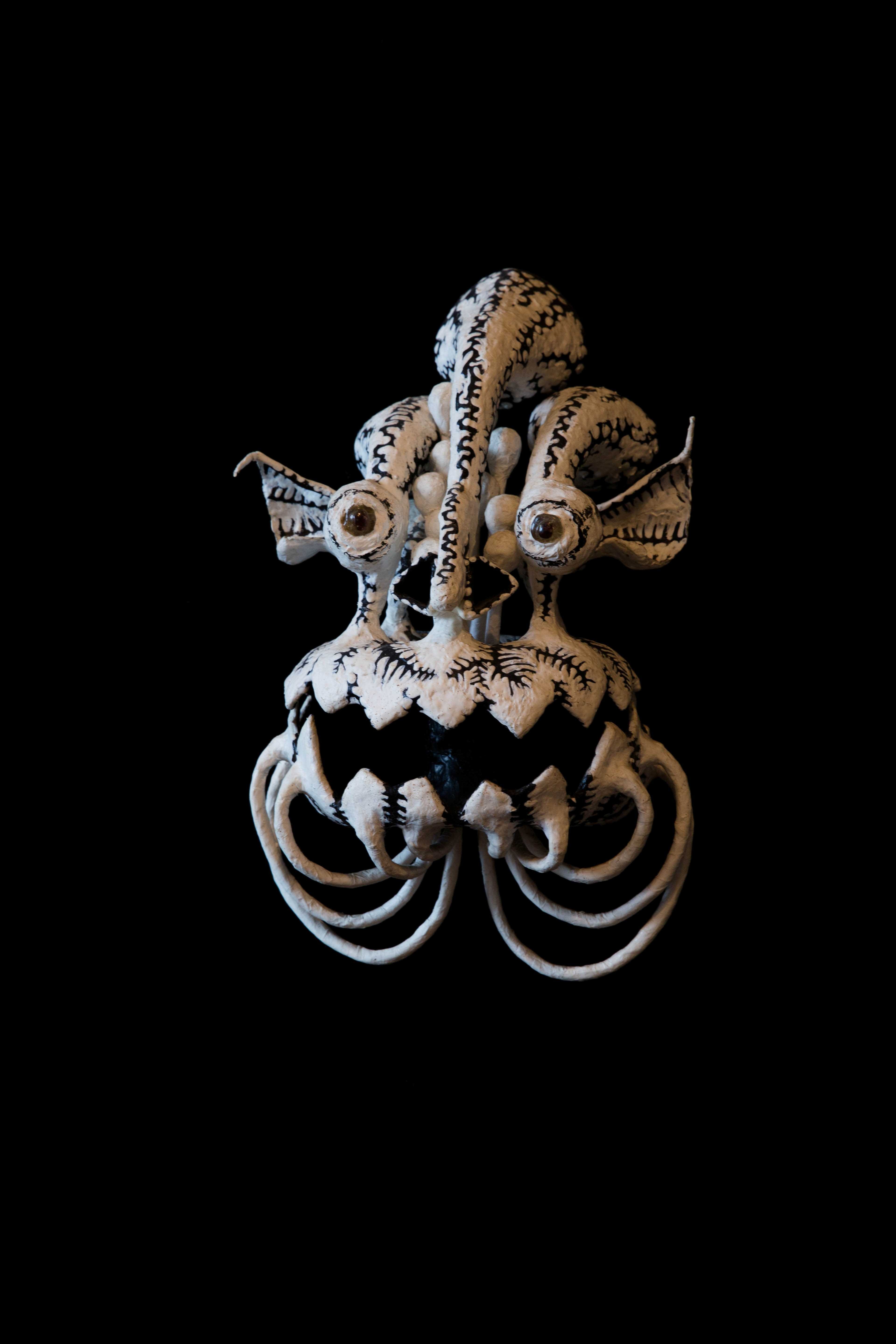   5 -    (www.fisionomicus.com)