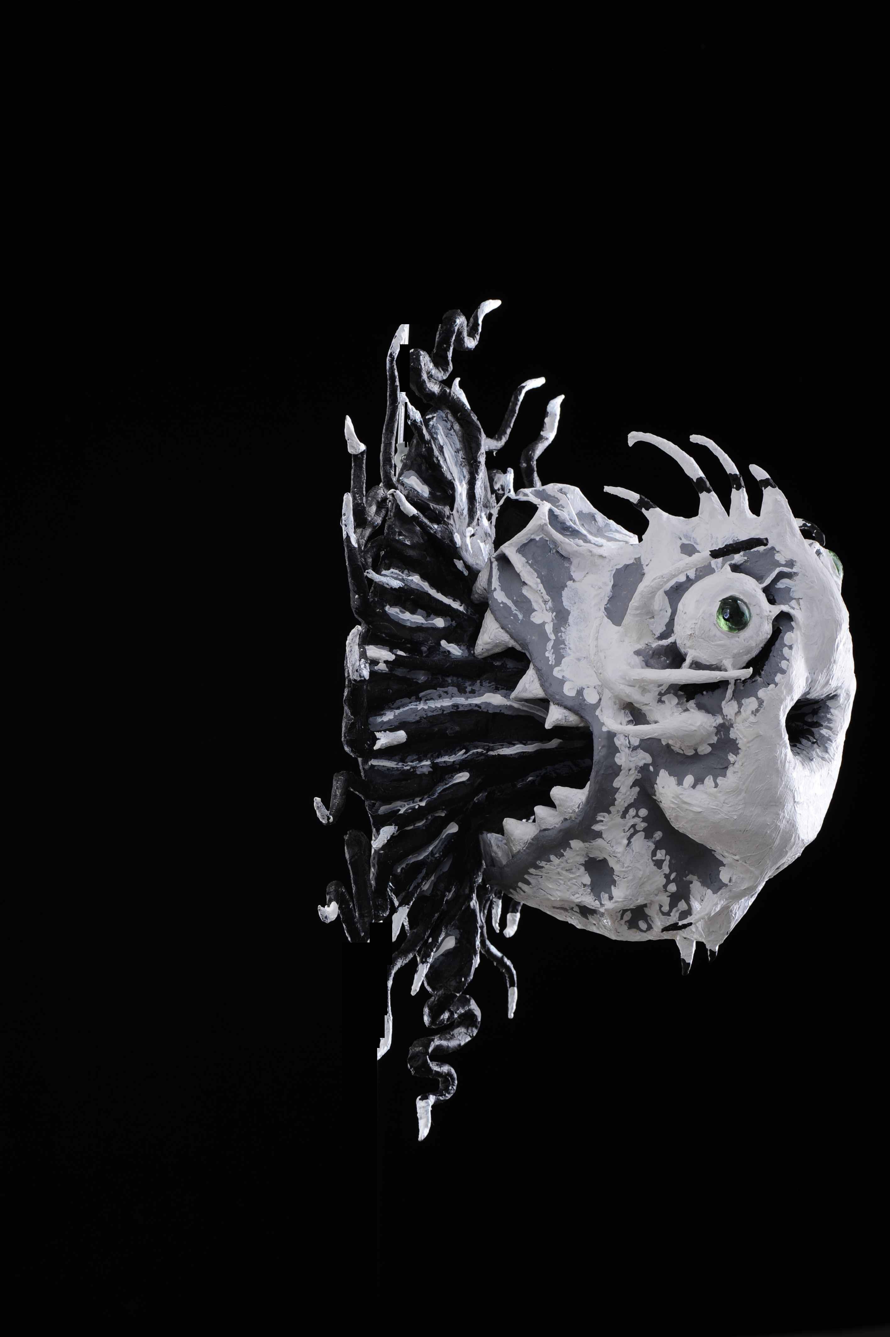  -    (www.fisionomicus.com)