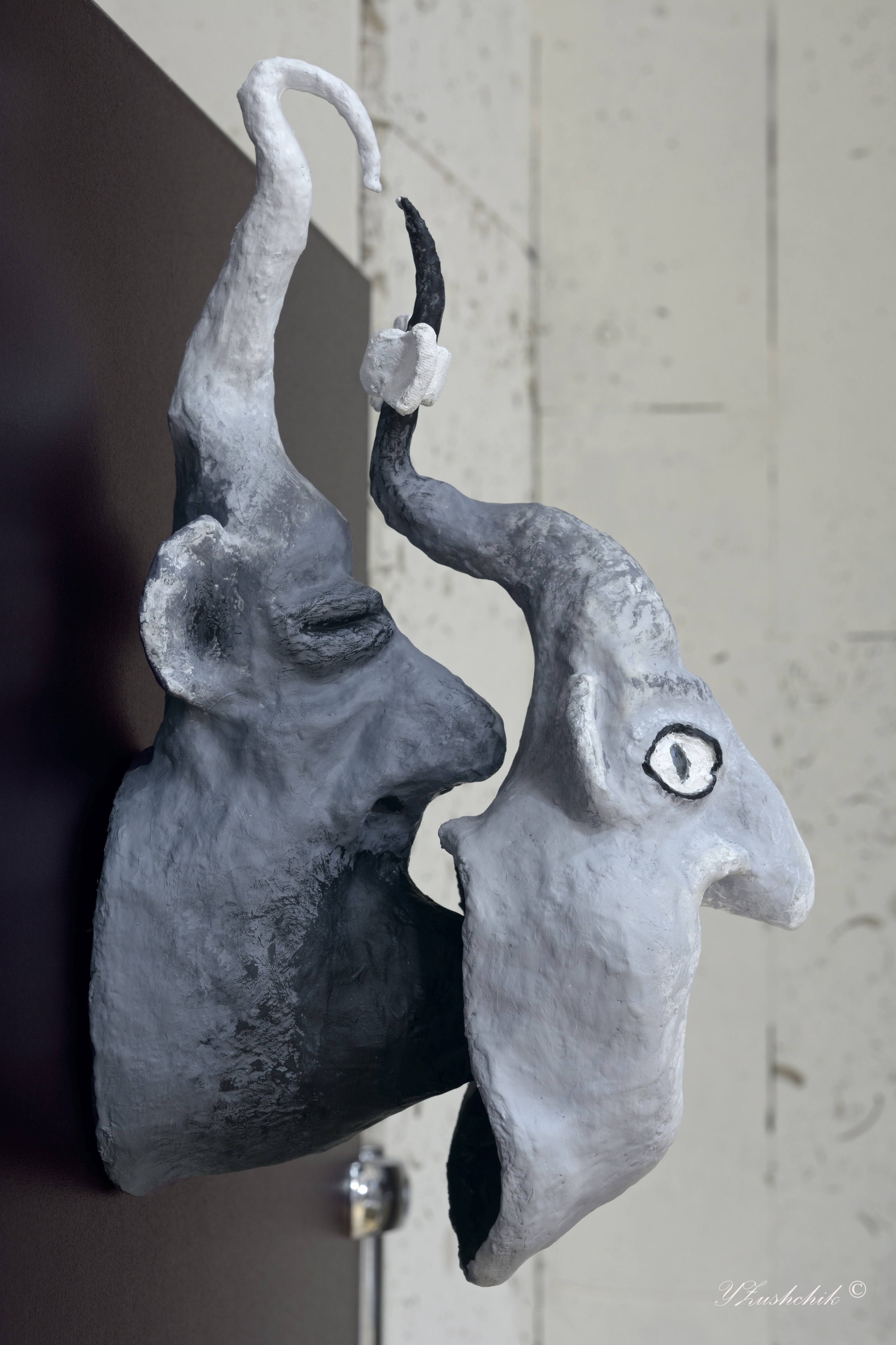  -    (www.fisionomicus.com)