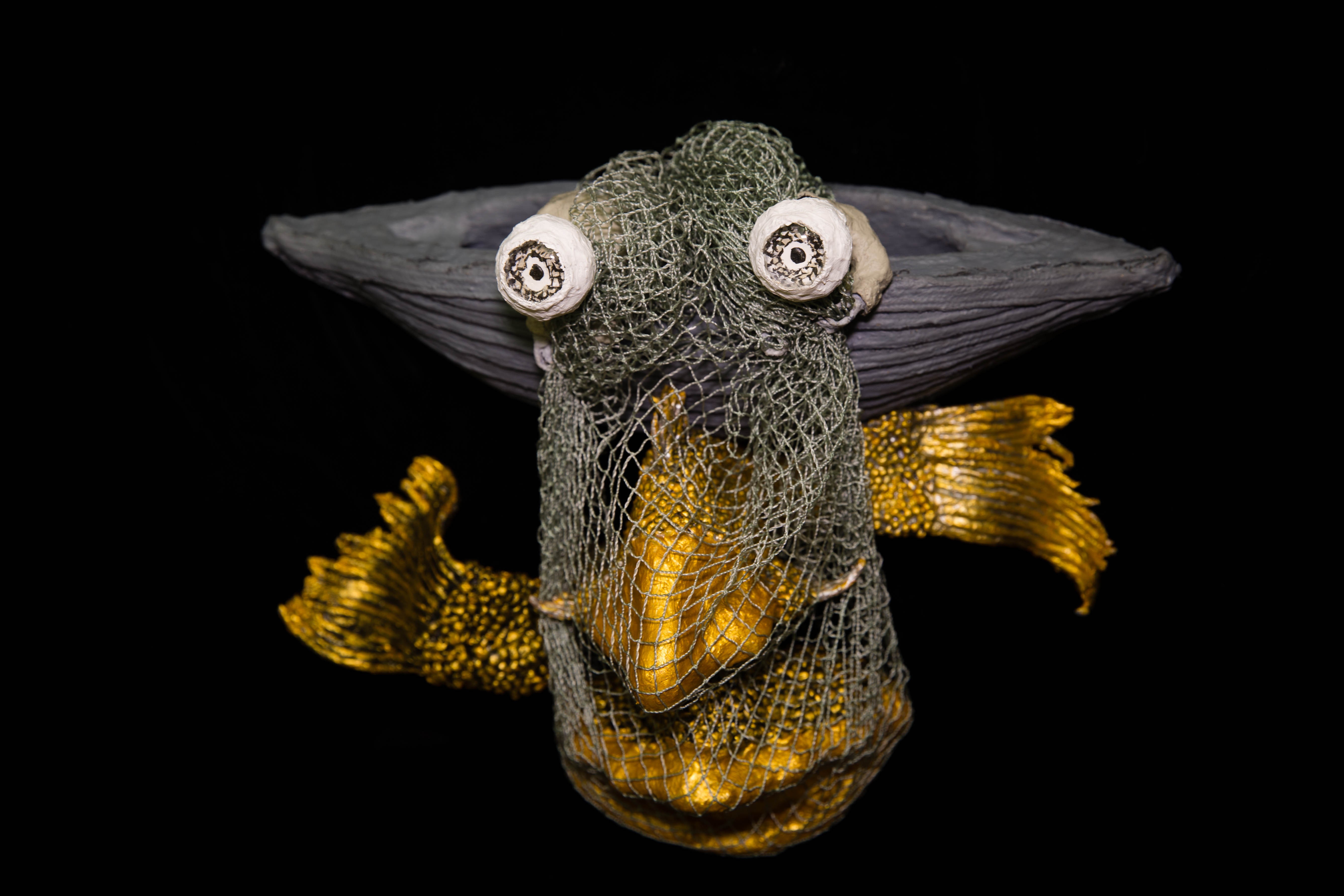    -    (www.fisionomicus.com)