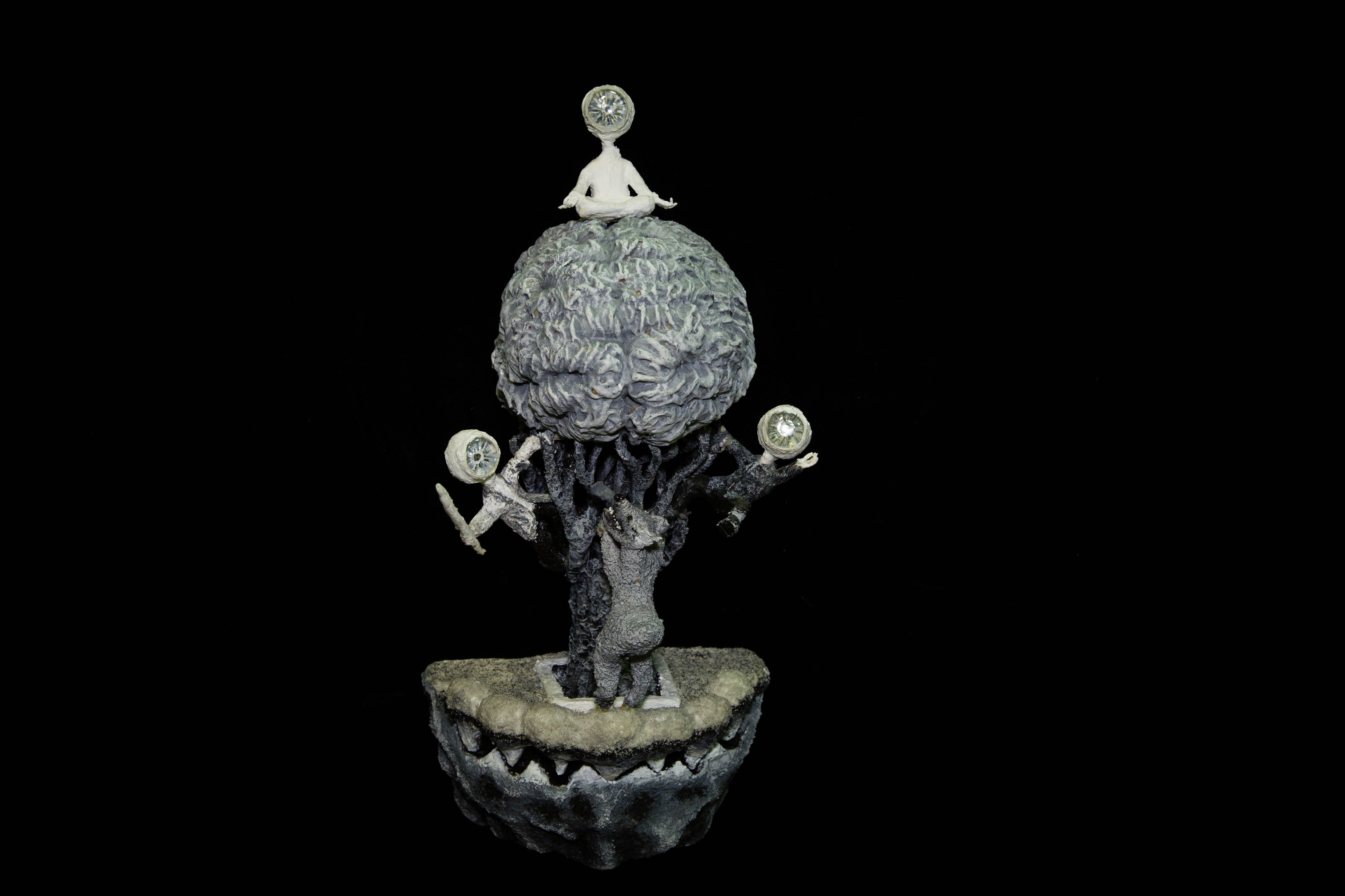  -    (www.fisionomicus.com)