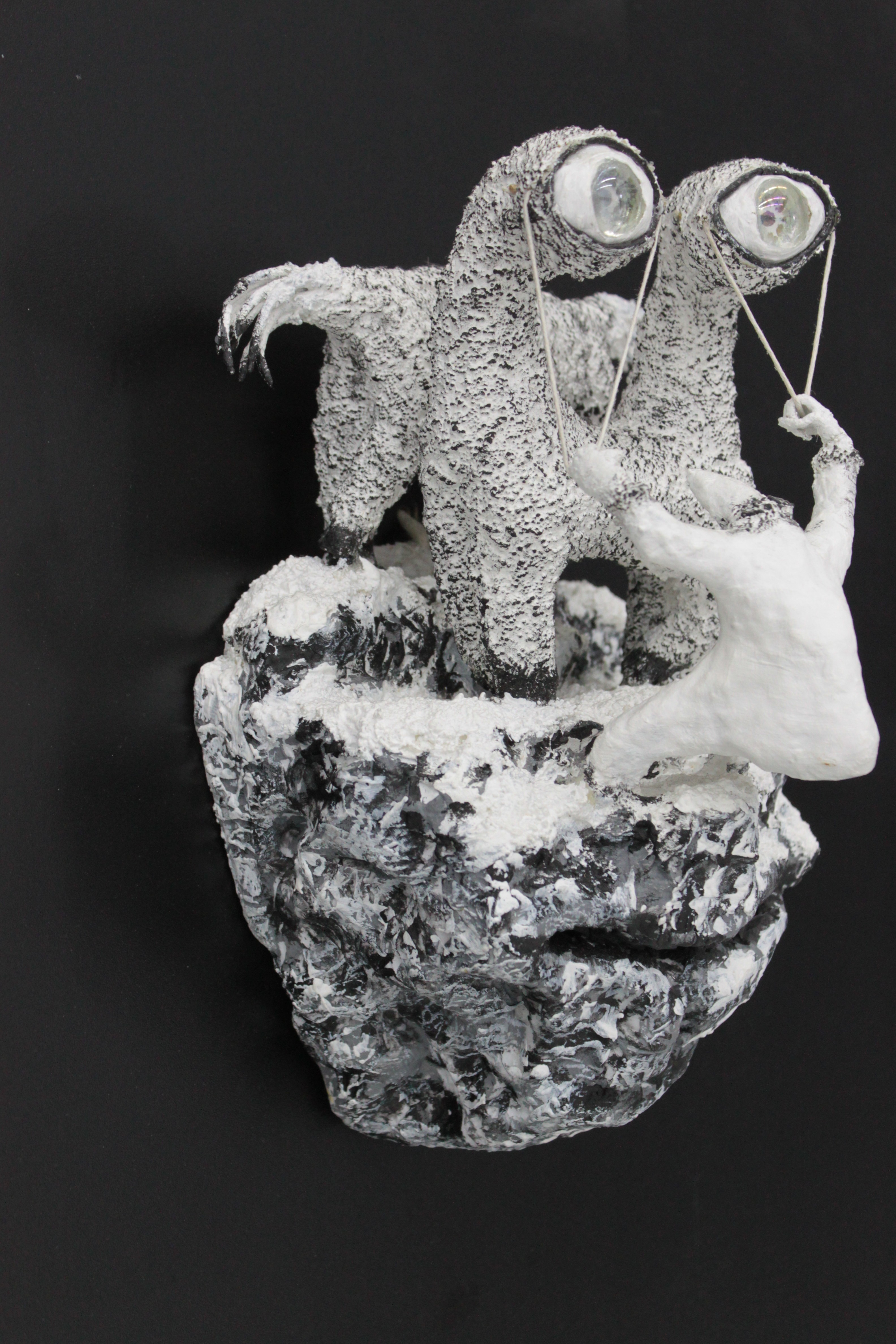 - -    (www.fisionomicus.com)