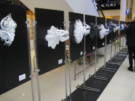 Драконы и чудовища